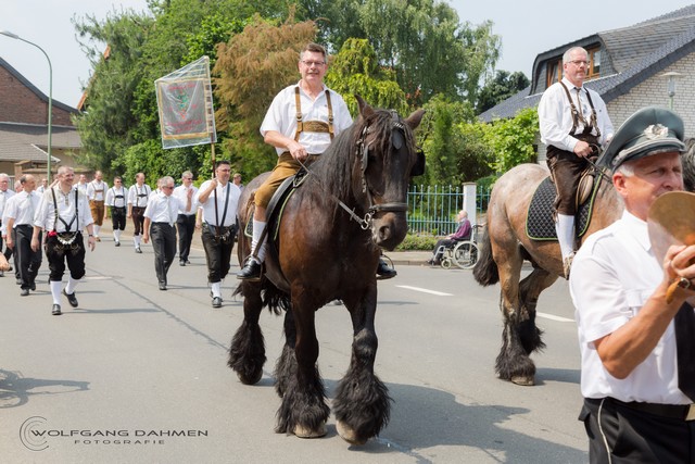 BILD 46