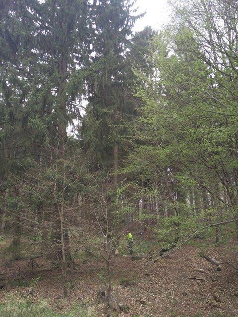 IMG 20170415 090618