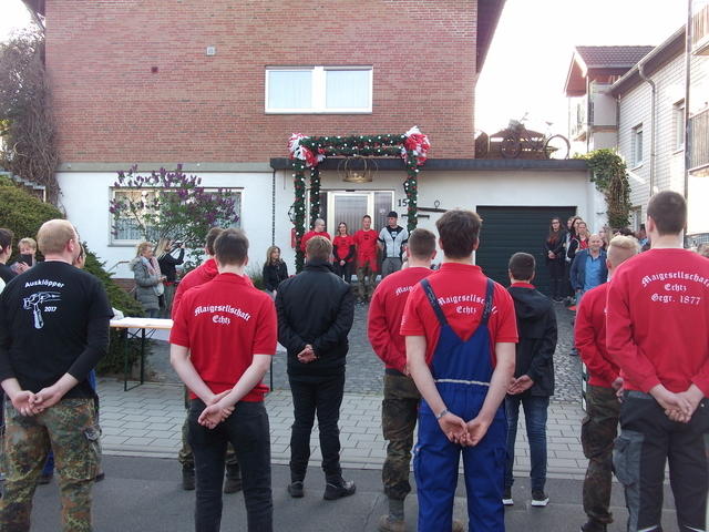 Bild (100)