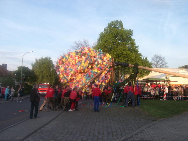 Bild (181)