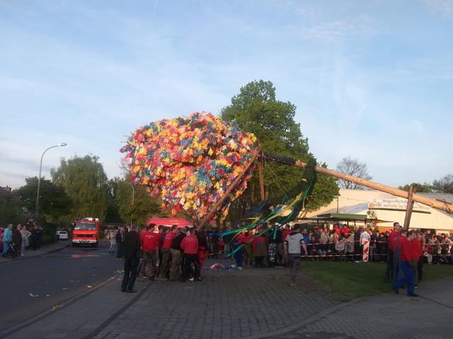 Bild (182)