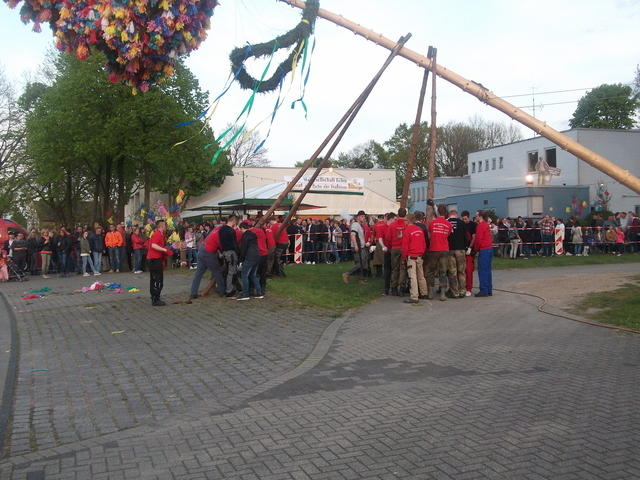Bild (202)
