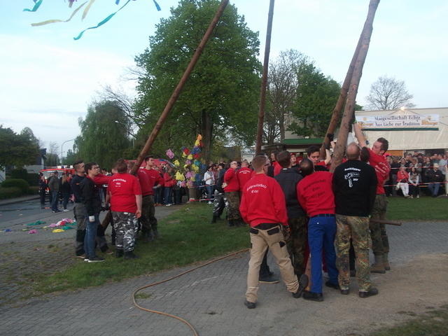 Bild (205)