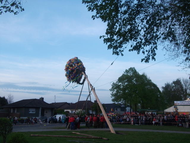 Bild (210)