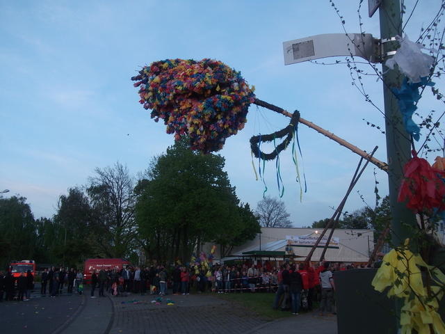 Bild (213)