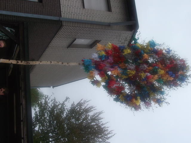 Bild (283)