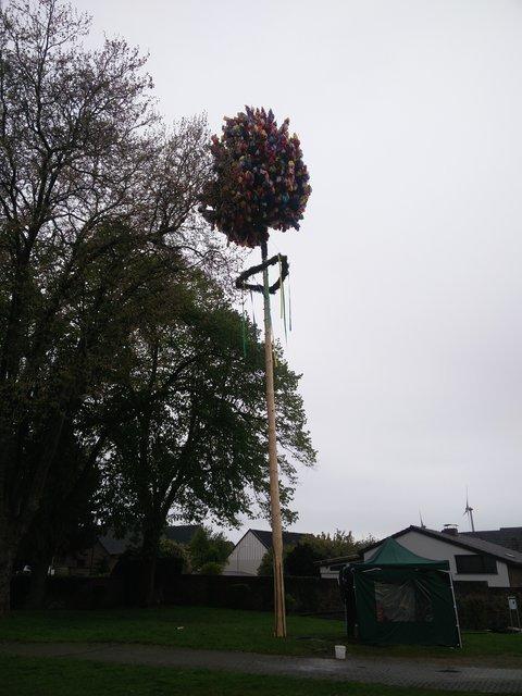 Bild (301)