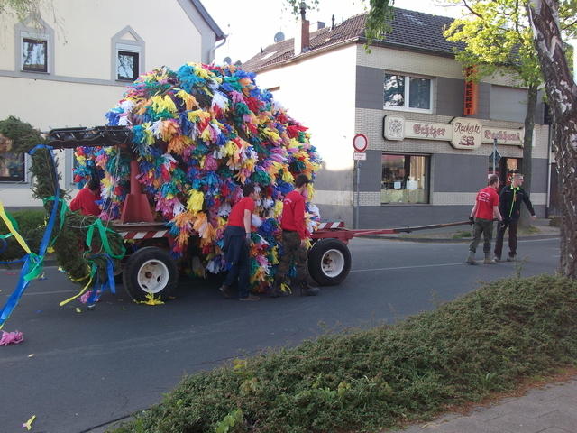 Bild (51)