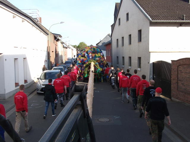 Bild (66)