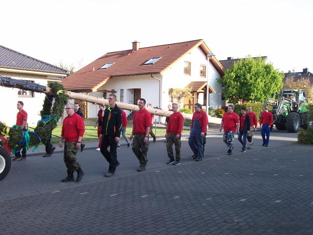 Bild (83)