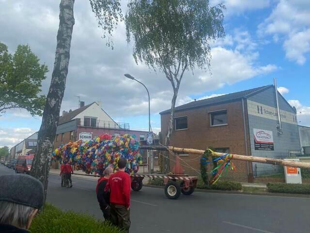 IMG-20220504-WA0026