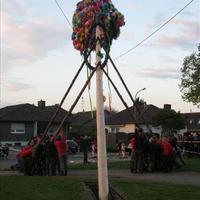 image 142