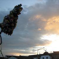 image 147