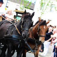 Maifest Echtz 2017 Sonntag (97 von 700)