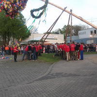 Bild (202)