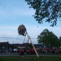 Bild (210)