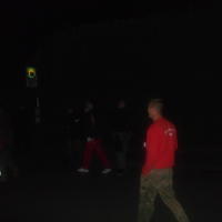 Bild (264)
