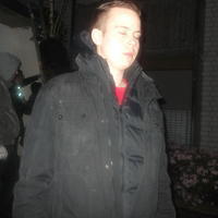 Bild (278)