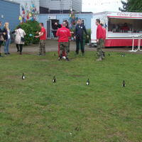 Bild (290)